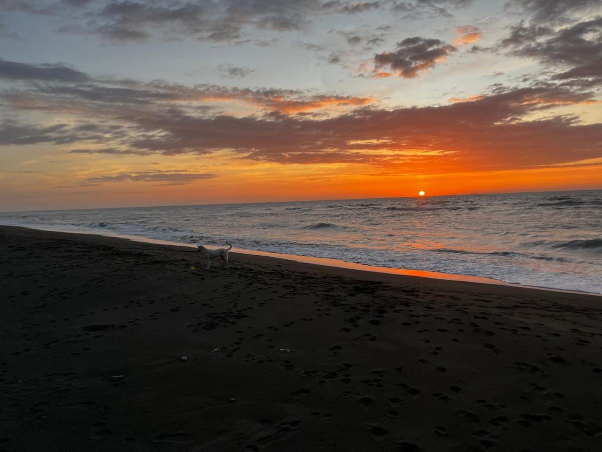 Vistapaloma Beach Resort Odiong Luaran gambar